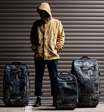 Baggage in Excess